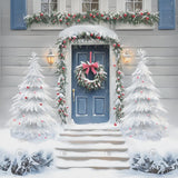 Allenjoy Winter Mystical Entry Snowy Door Photography Backdrop Gbsx-01196