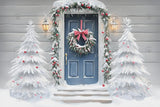 Allenjoy Winter Mystical Entry Snowy Door Photography Backdrop Gbsx-01196