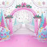 Allenjoy Winter Pink Palace Of Sweets Photography Backdrop Gbsx-01028