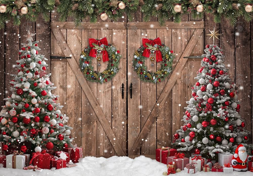 Allenjoy Winter Rustic Barn Door Photography Backdrop GBSX-00060
