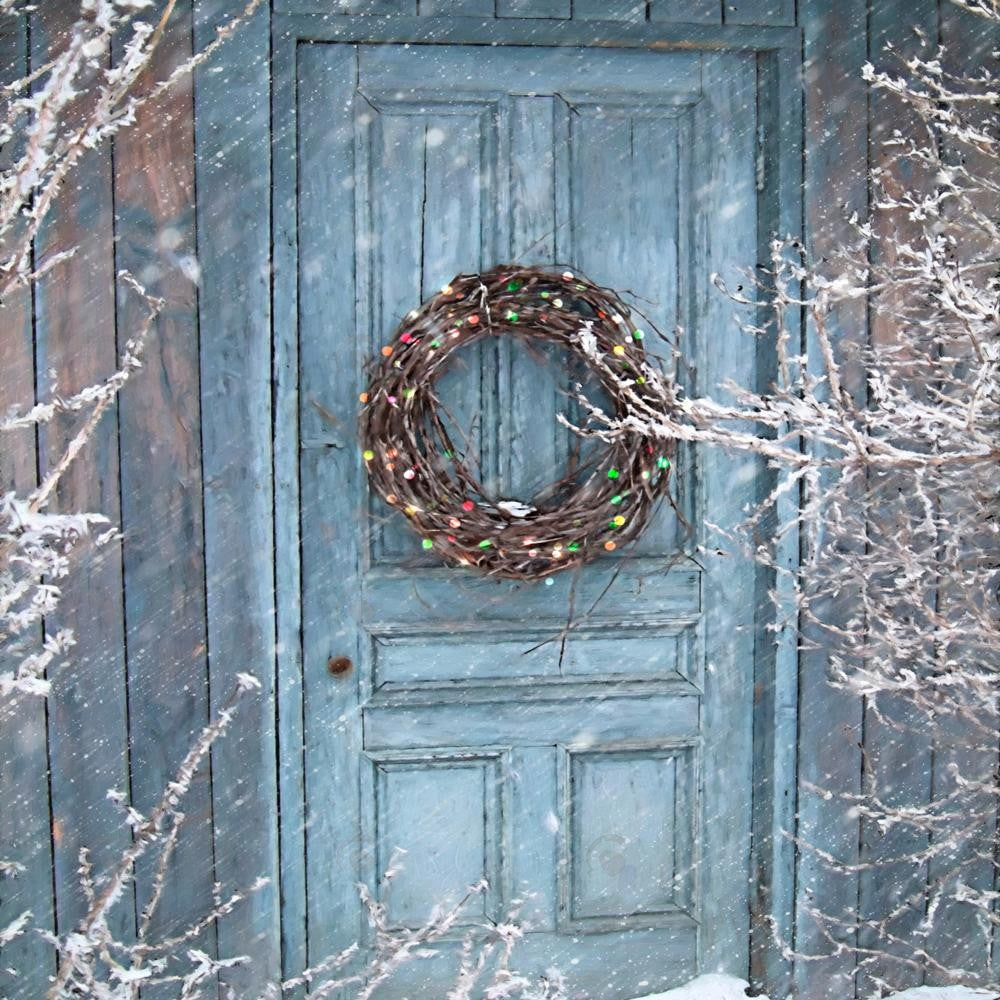 Allenjoy Winter Snowy Door Photography Backdrop Gbsx-00544