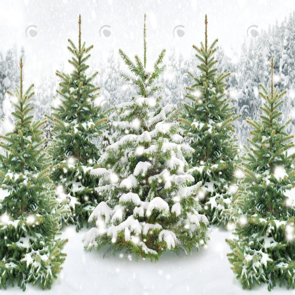 Allenjoy Winter Wonderland Forest Photography Backdrop Gbsx-00596