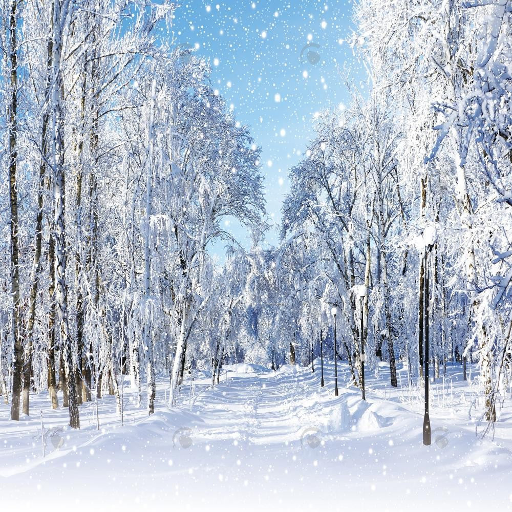 Allenjoy Winter Wonderland Forest Photography Backdrop Gbsx-00733