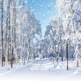 Allenjoy Winter Wonderland Forest Photography Backdrop Gbsx-00733