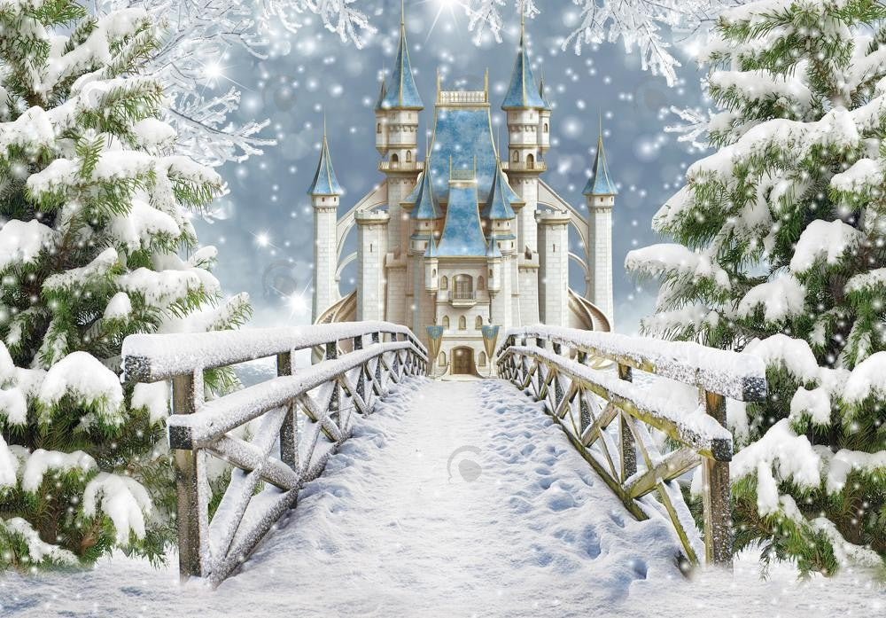 Allenjoy Winter Wonderland Kingdom Princess Castle Photography Backdrop Gbsx-01065