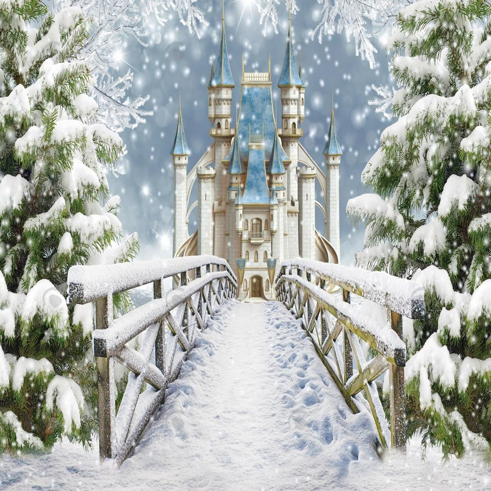 Allenjoy Winter Wonderland Kingdom Princess Castle Photography Backdrop Gbsx-01065
