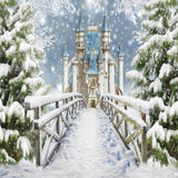 Allenjoy Winter Wonderland Kingdom Princess Castle Photography Backdrop Gbsx-01065