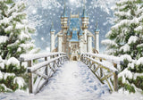 Allenjoy Winter Wonderland Kingdom Princess Castle Photography Backdrop Gbsx-01065