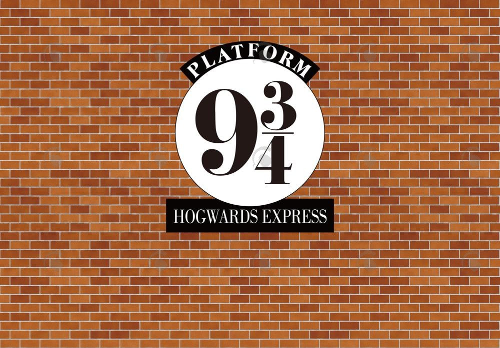 Allenjoy Wizard Brick Wall Photography Backdrop Gbsx-00412