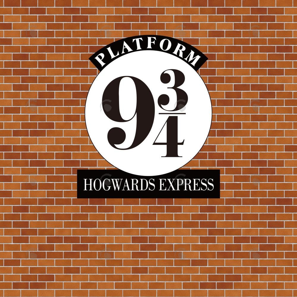 Allenjoy Wizard Brick Wall Photography Backdrop Gbsx-00412