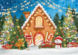 Gingerbread House Backdrop