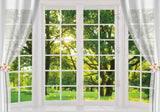 White Spring Window Scenery Photography Backdrop