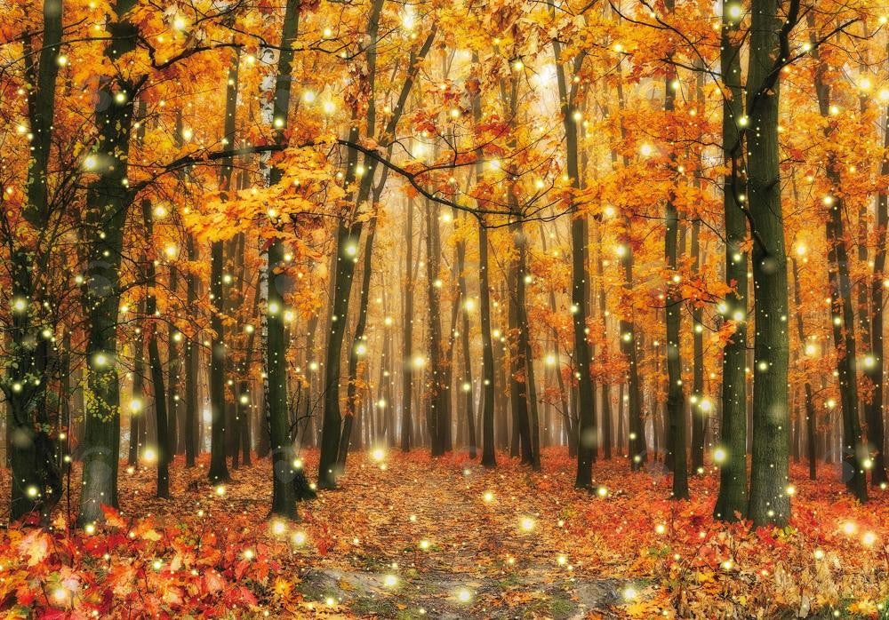 Fall Forest Scenery Photography Backdrop
