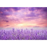 Allenjoy Lavender Field at Sunset Photography Backdrop Purple Flowers Photoshoot Background