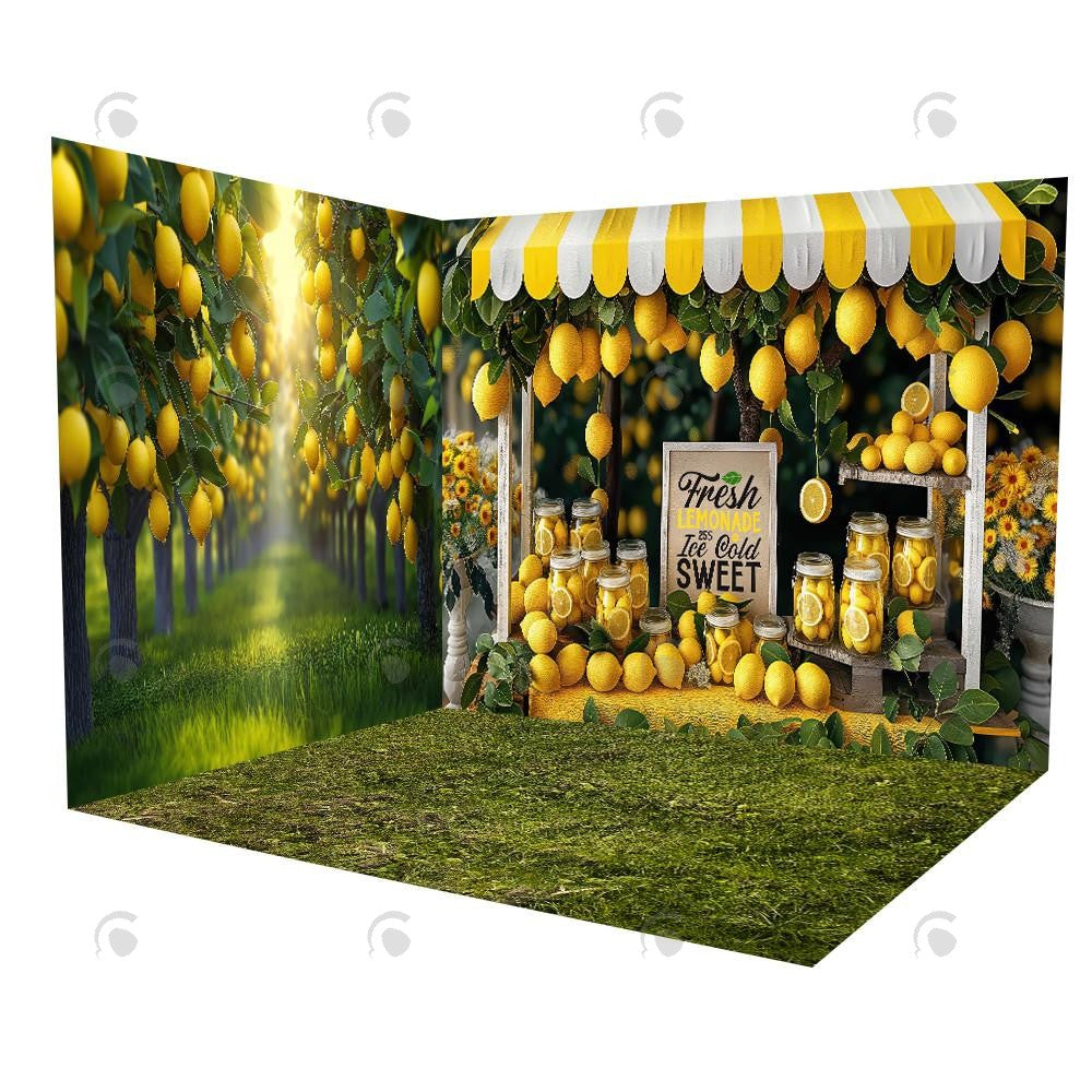 Allenjoy Backdrop Lemonade Sweet Stand Room Set YM8T-B0428&YM8T-B0427&GBSX-99784