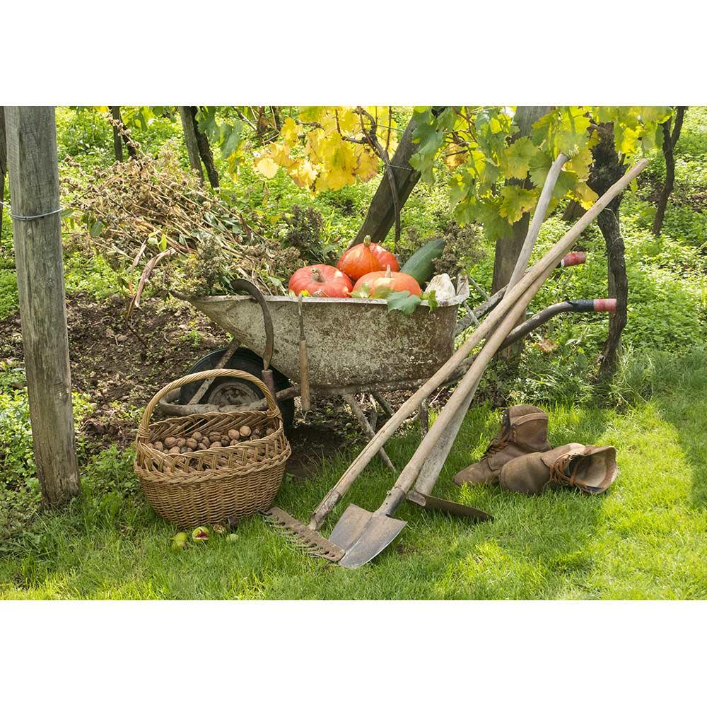 Allenjoy Autumn Backdrop Vegetable Pumpkin Nut Farm for Thanksgiving Day - Allenjoystudio