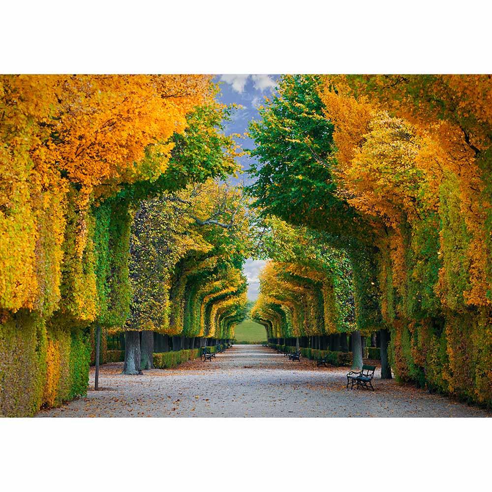 Allenjoy Autumn Long Road in Park Professional Fall Backdrop - Allenjoystudio