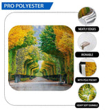 Allenjoy Autumn Long Road in Park Professional Fall Backdrop - Allenjoystudio