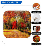 Allenjoy Autumn River Sunlight Forest Wonderful Landscape Backdrop - Allenjoystudio