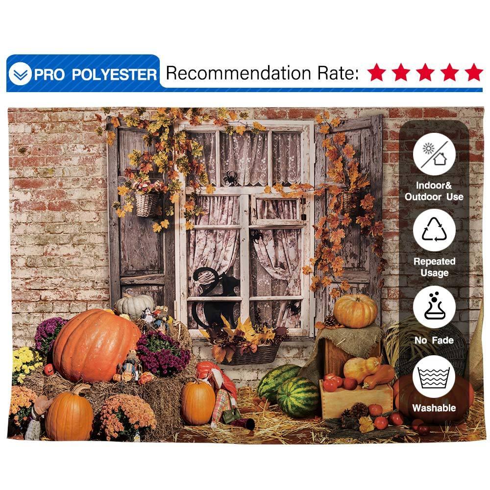 Allenjoy Autumn Pumpkin Window Brick Wall Outdoor Fall Photography Backdrop - Allenjoystudio