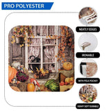 Allenjoy Autumn Pumpkin Window Brick Wall Outdoor Fall Photography Backdrop - Allenjoystudio