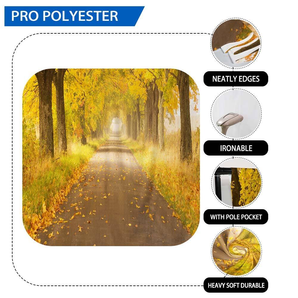 Allenjoy Autumn Forest Path Fall Maple Tree Backdrop - Allenjoystudio