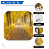 Allenjoy Autumn Forest Path Fall Maple Tree Backdrop - Allenjoystudio