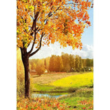 Allenjoy Autumn Forest Grass River Natural Photography Backdrop - Allenjoystudio