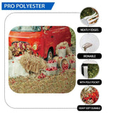 Allenjoy Fall Harvest Red Car Maple leaves Floor Backdrop for Kids - Allenjoystudio