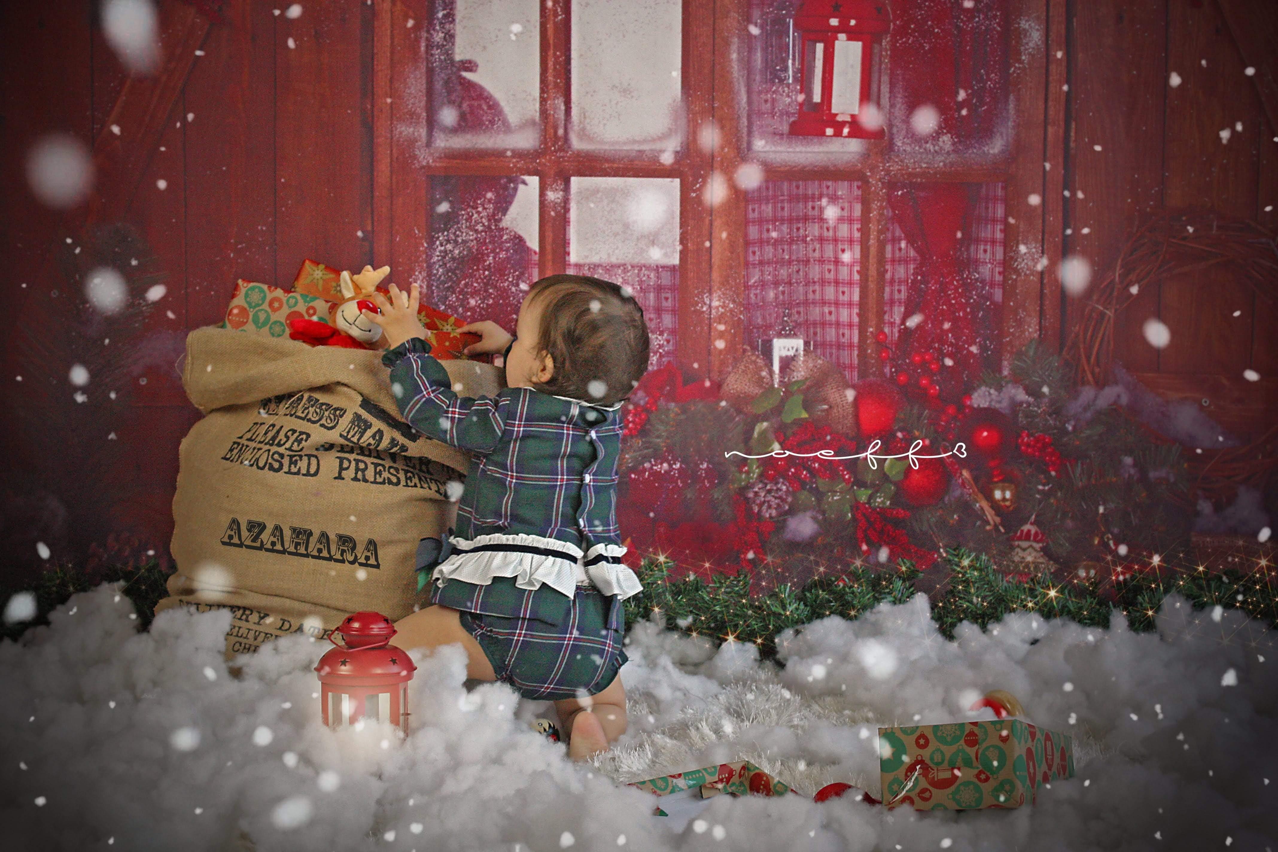 Allenjoy Christmas Wood House Window Gift Backdrop - Allenjoystudio