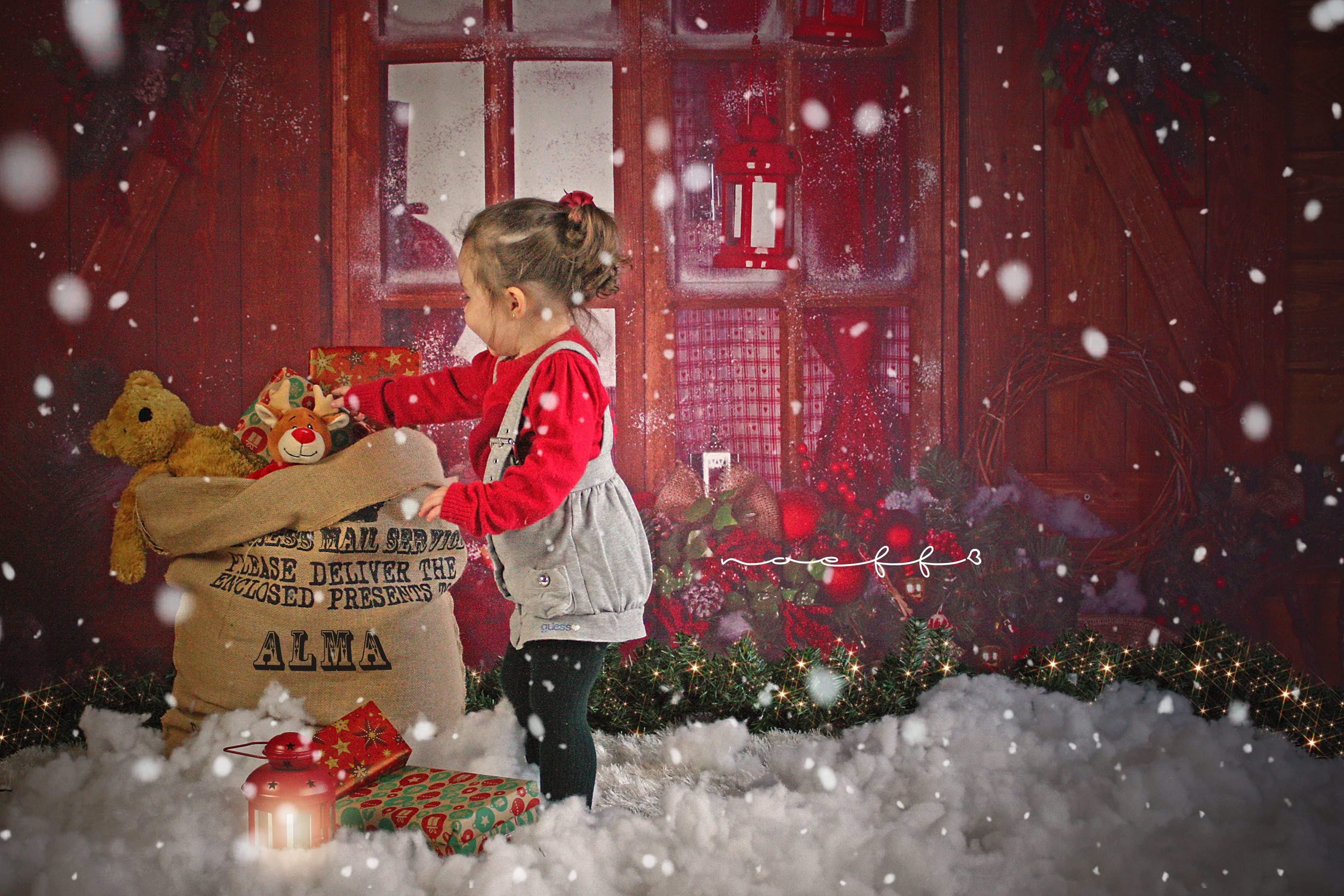 Allenjoy Christmas Wood House Window Gift Backdrop - Allenjoystudio