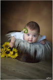 Allenjoy Old Master Dark Brown Photography Backdrop - Allenjoystudio