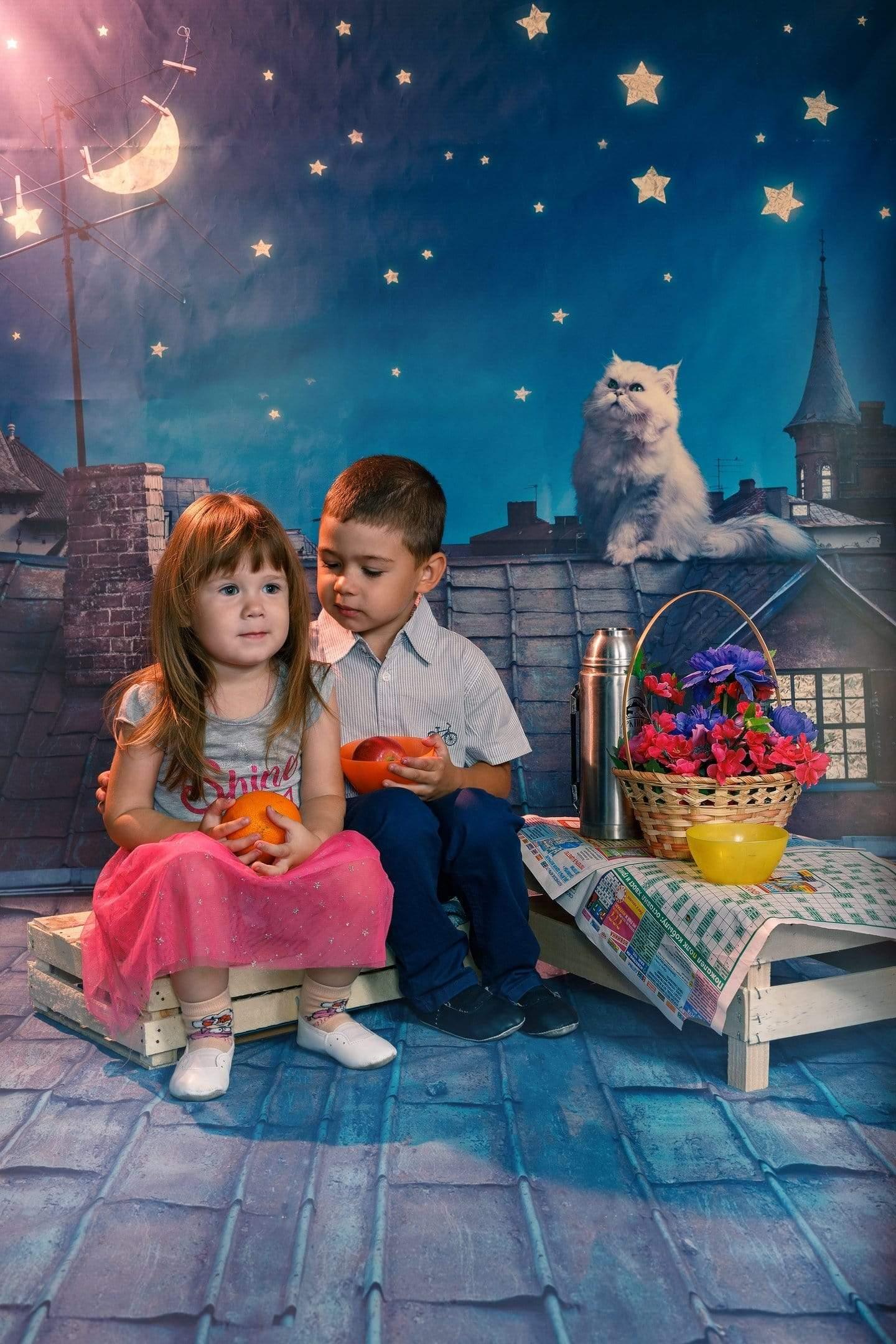 Allenjoy Backgound Children Story Roof Cat Moon and Star on Night Sky in Dream Backdrop - Allenjoystudio