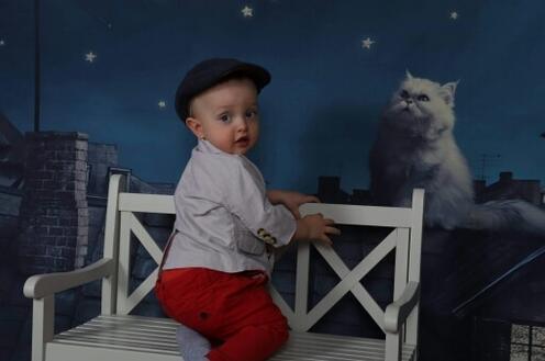 Allenjoy Backgound Children Story Roof Cat Moon and Star on Night Sky in Dream Backdrop - Allenjoystudio