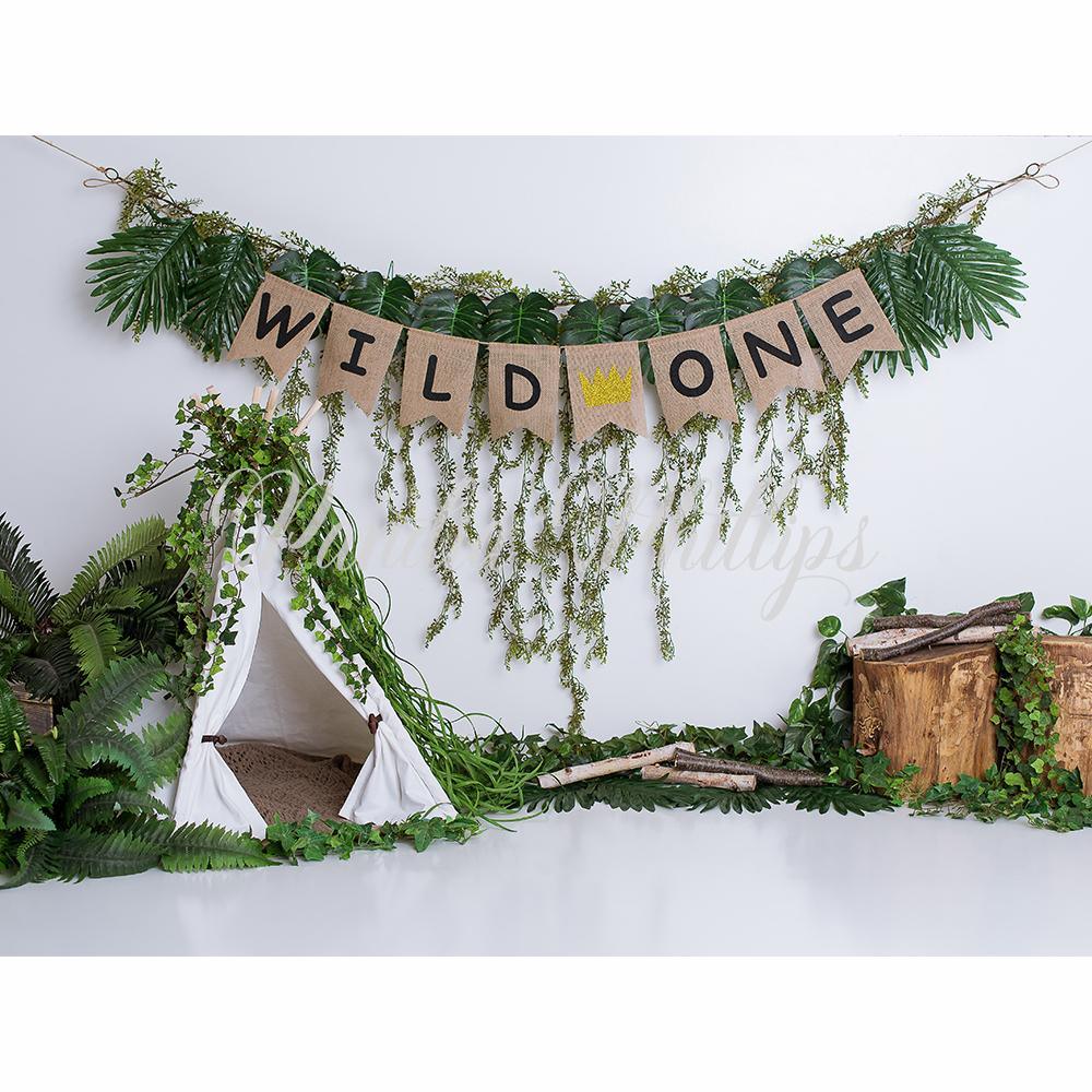 Allenjoy Boho Tent Wild One Cake Smash Backdrop Designed by Panida Phillips - Allenjoystudio
