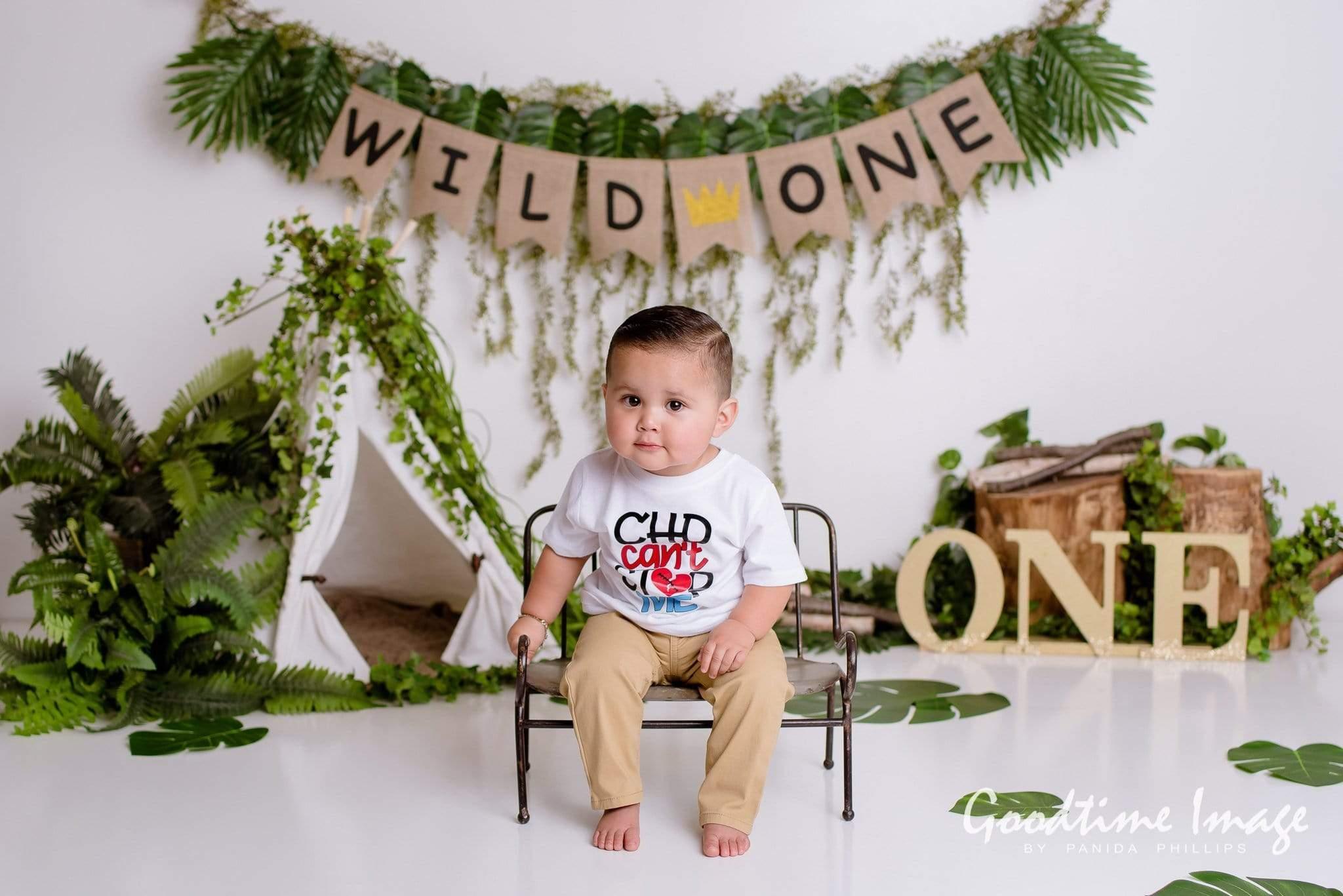 Allenjoy Boho Tent Wild One Cake Smash Backdrop Designed by Panida Phillips - Allenjoystudio