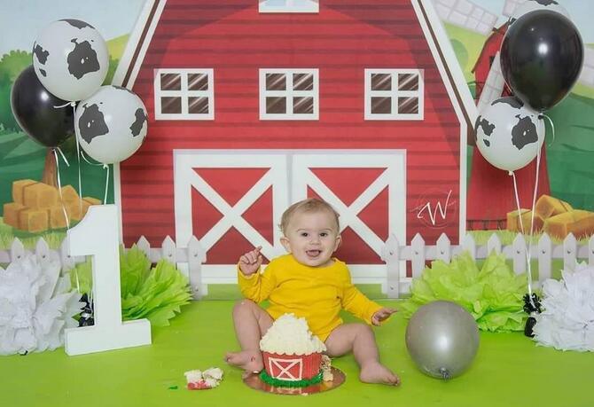 Allenjoy Red Farm Animals Backdrop for Children - Allenjoystudio