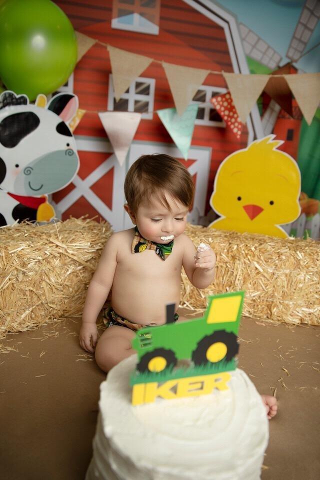 Allenjoy Red Farm Animals Backdrop for Children - Allenjoystudio