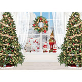 Allenjoy Christmas Window Backdrop Winter Xmas for Portrait Photography