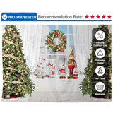 Allenjoy Christmas Window Backdrop Winter Xmas for Portrait Photography - Allenjoystudio