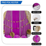 Allenjoy Golden Curtain and Rose Red Background for Cake Smash Designed by Panida Phillips - Allenjoystudio