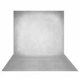 Allenjoy Gray White Old Master Backdrop