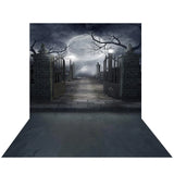 Allenjoy Halloween Gloomy Moon In front of the Cemetery Gate Backdrop