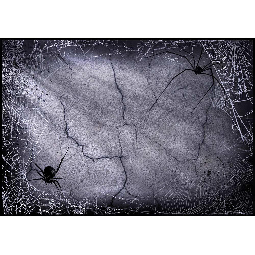 Allenjoy Halloween Backdrop Big Spider and Spider Web in Dim House - Allenjoystudio