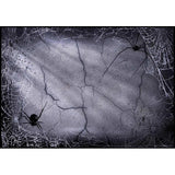 Allenjoy Halloween Backdrop Big Spider and Spider Web in Dim House