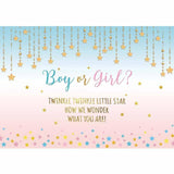 Allenjoy Little Star Boy or Girl Pink and Blue Gender Reveal Backdrop