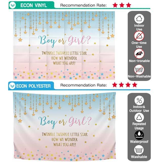 Allenjoy Little Star Boy or Girl Pink and Blue Gender Reveal Backdrop - Allenjoystudio