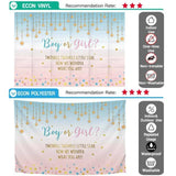 Allenjoy Little Star Boy or Girl Pink and Blue Gender Reveal Backdrop - Allenjoystudio