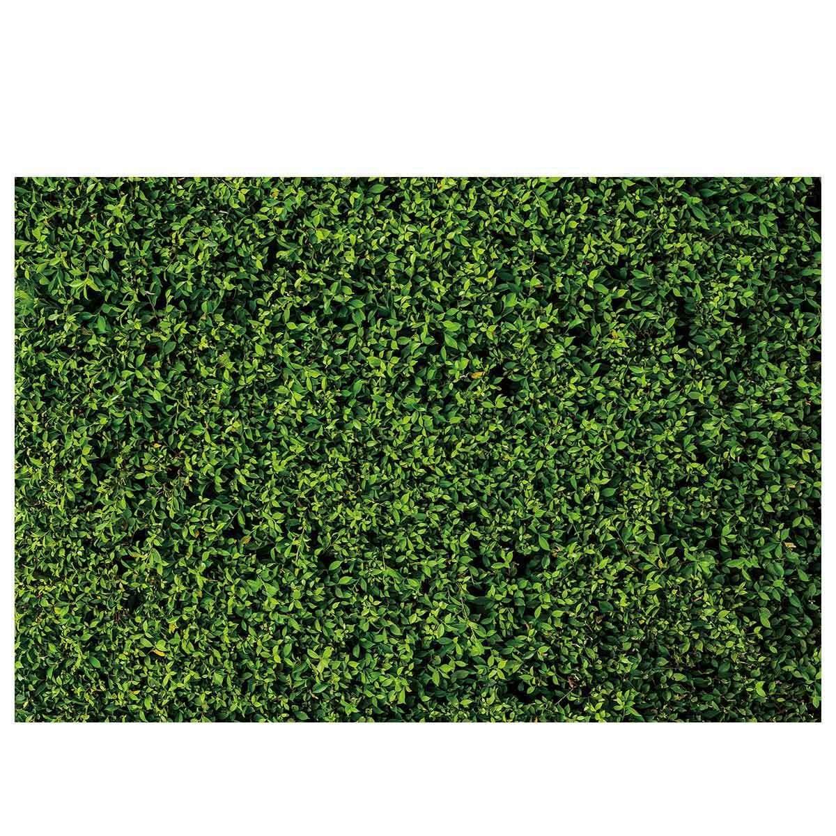 Allenjoy Nature Green Leaves Backdrop for Spring - Allenjoystudio