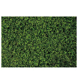 Allenjoy Nature Green Leaves Backdrop for Spring - Allenjoystudio